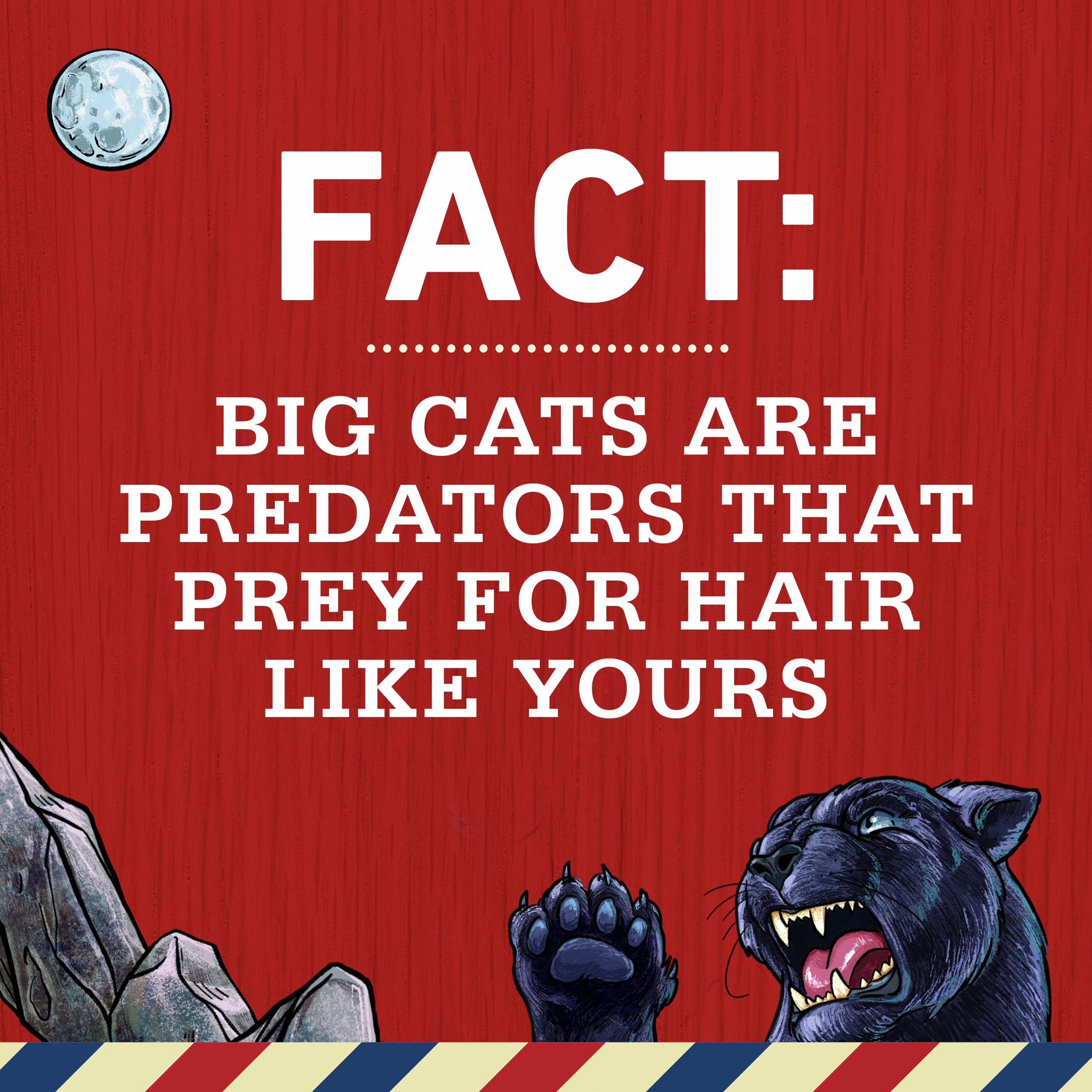 406-old-spice-nightpanther-shampoo-for-men-13.5-fl-oz-each-pack-of-6-4.jpg Old Spice Nightpanther Shampoo for Men, 13.5 Fl Oz Each (Pack of 6)